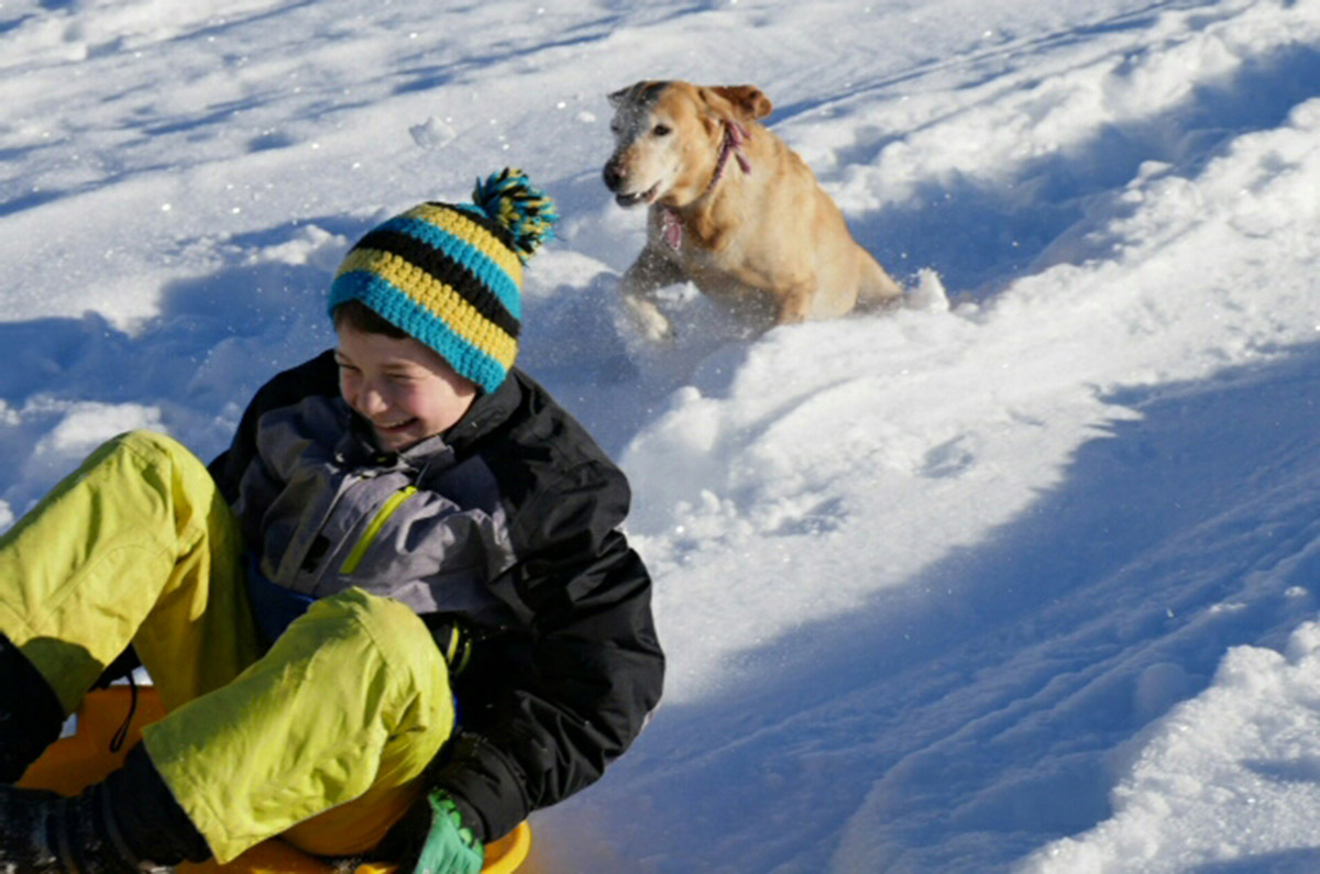 Winterzauber - Familienferien und Kinderparadies auf dem Farnbauernhof in Schönwald im Schwarzwald
