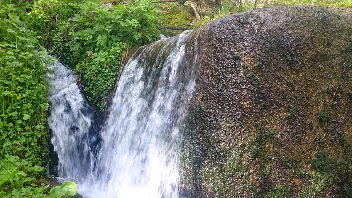 Unsere Naturidylle - Familienferien und Kinderparadies auf dem Farnbauernhof in Schönwald im Schwarzwald
