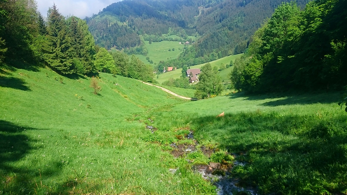 Unsere Naturidylle - Familienferien und Kinderparadies auf dem Farnbauernhof in Schönwald im Schwarzwald