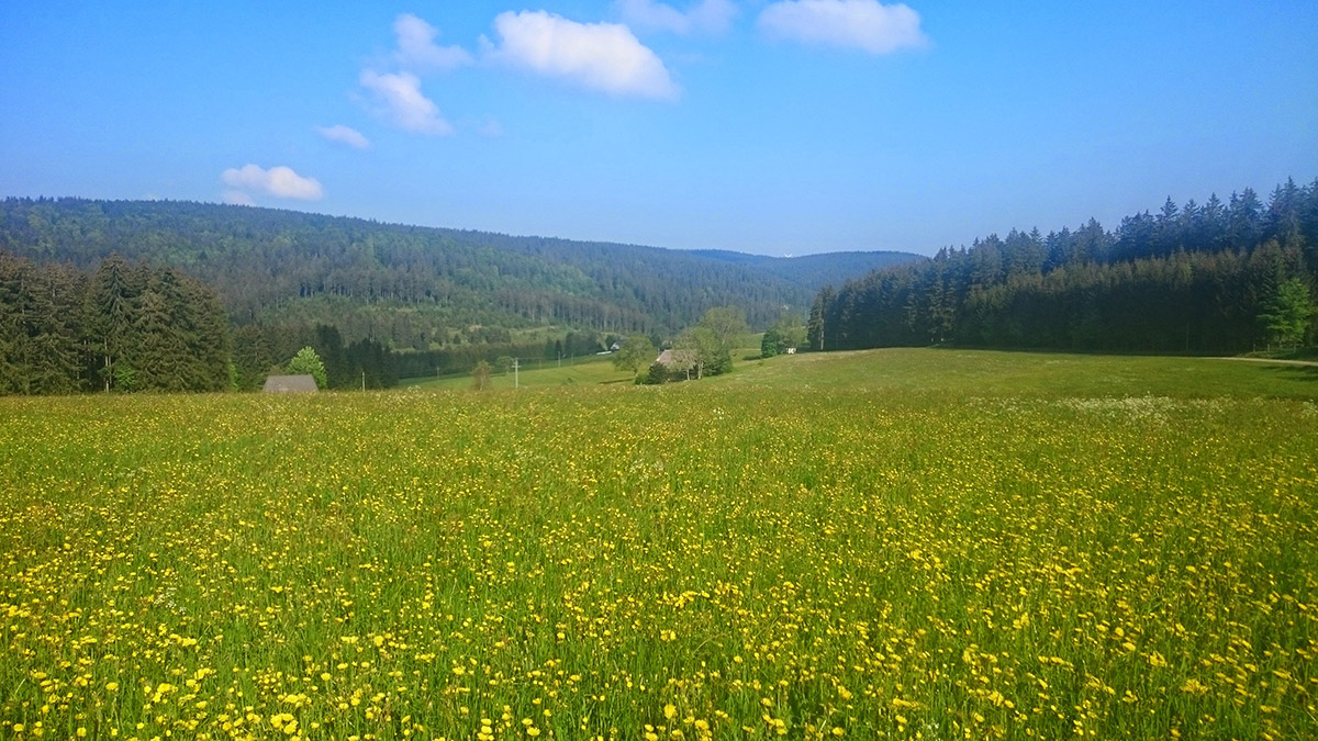 Unsere Naturidylle - Familienferien und Kinderparadies auf dem Farnbauernhof in Schönwald im Schwarzwald