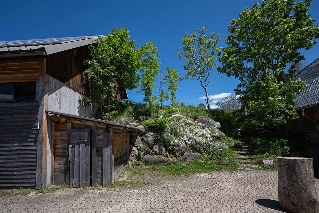 Hofidylle - Familienferien und Kinderparadies auf dem Farnbauernhof in Schönwald im Schwarzwald