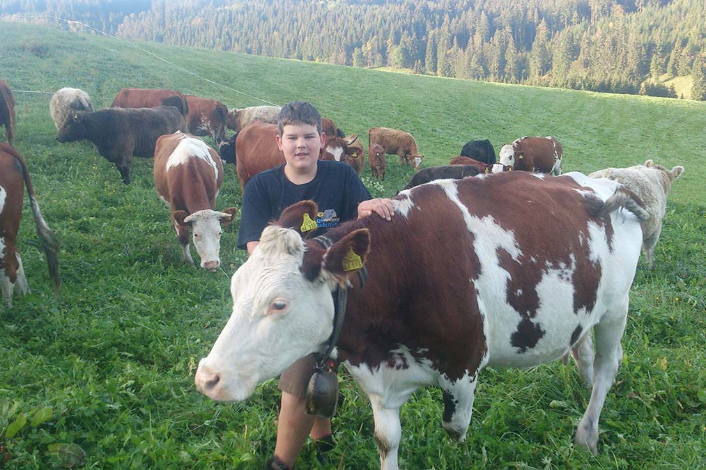 Die Farnkühe - Familienferien und Kinderparadies mit Kühen auf dem Farnbauernhof in Schönwald im