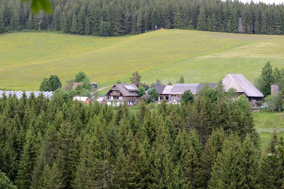 Der paradiesisch gelegene, umweltbewusst betriebene Farnbauernhof in Schönwald im Schwarzwald