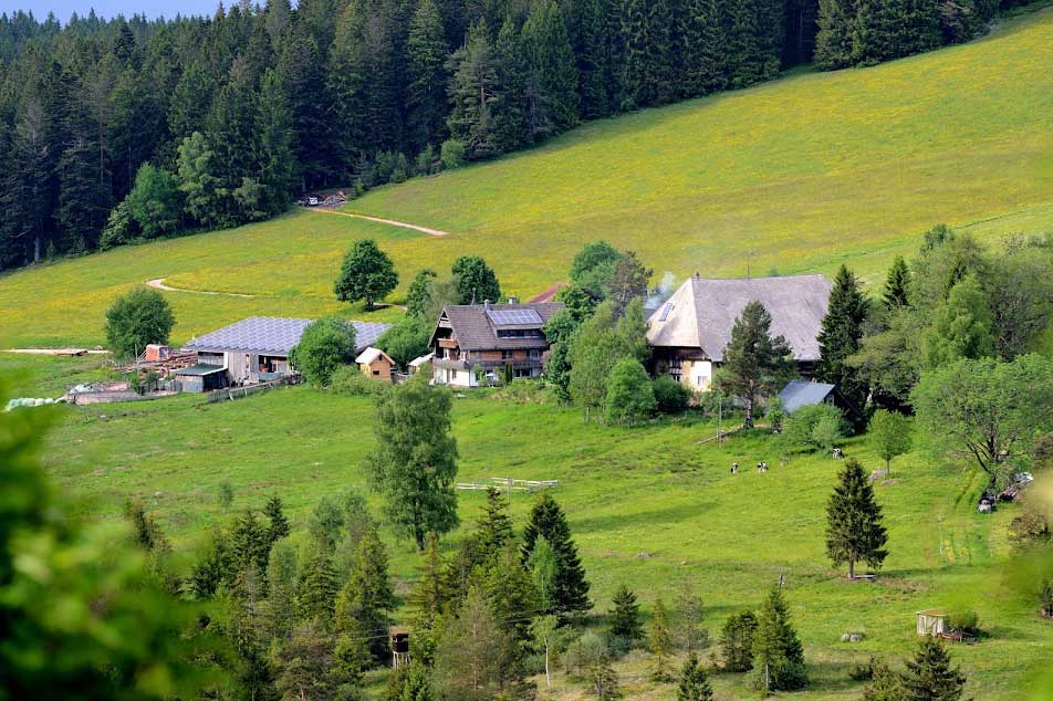 Der Farnbauernhof - umweltbewusst und nachhaltig geführter Ferienbauernhof mit eigenem Naturschutzgebiet
