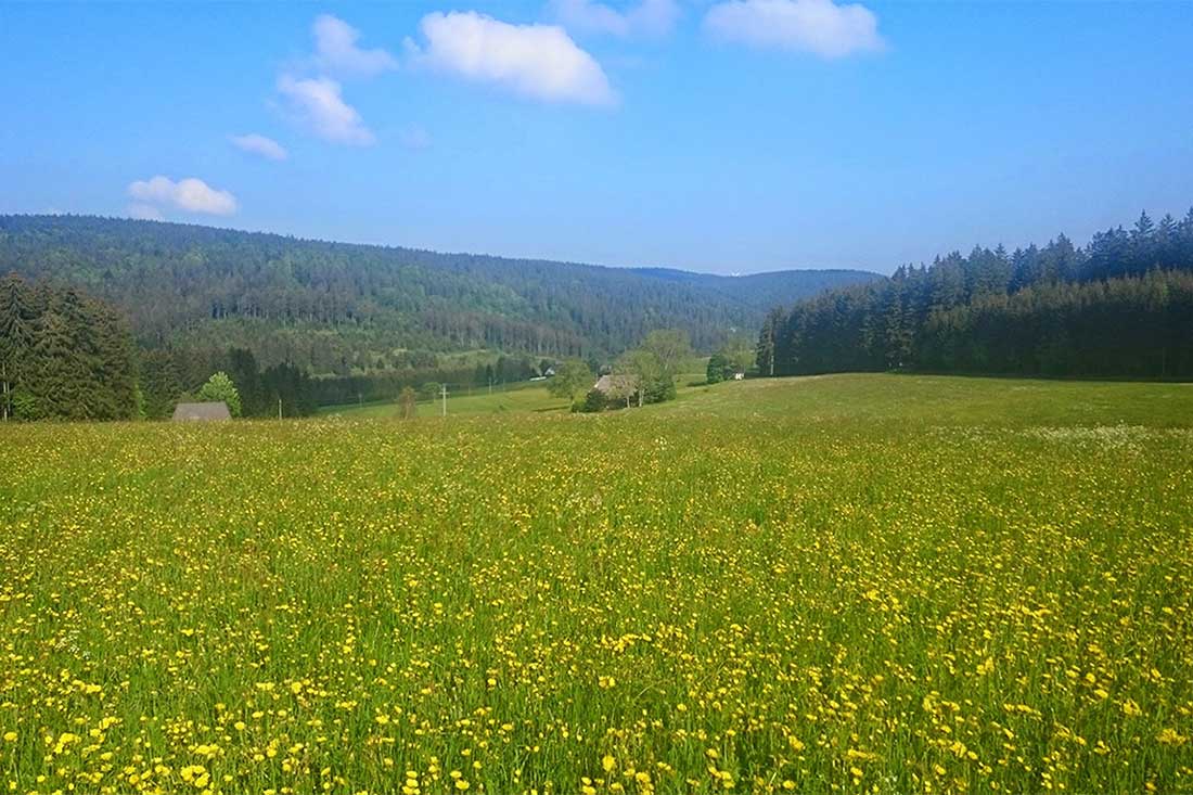 Unsere Naturidylle - Familienferien und Kinderparadies auf dem nachhaltig geführten Farnbauernhof in Schönwald im Schwarzwald