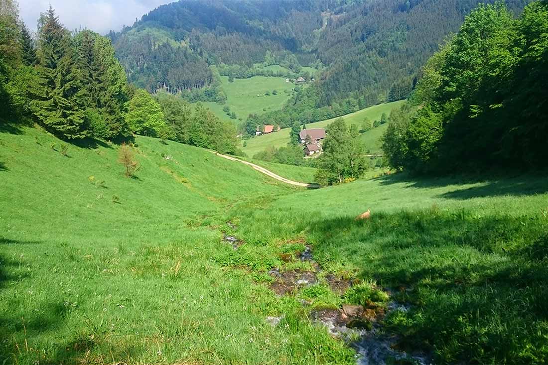 Unsere Naturidylle - Familienferien und Kinderparadies auf dem umweltbewusst geführten Farnbauernhof in Schönwald im Schwarzwald