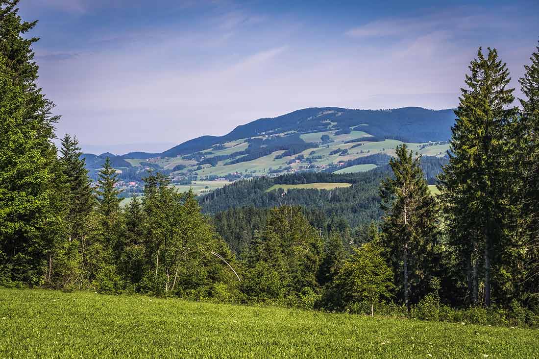 Der Schwarzwald - Paradies zum Wandern und Hiken