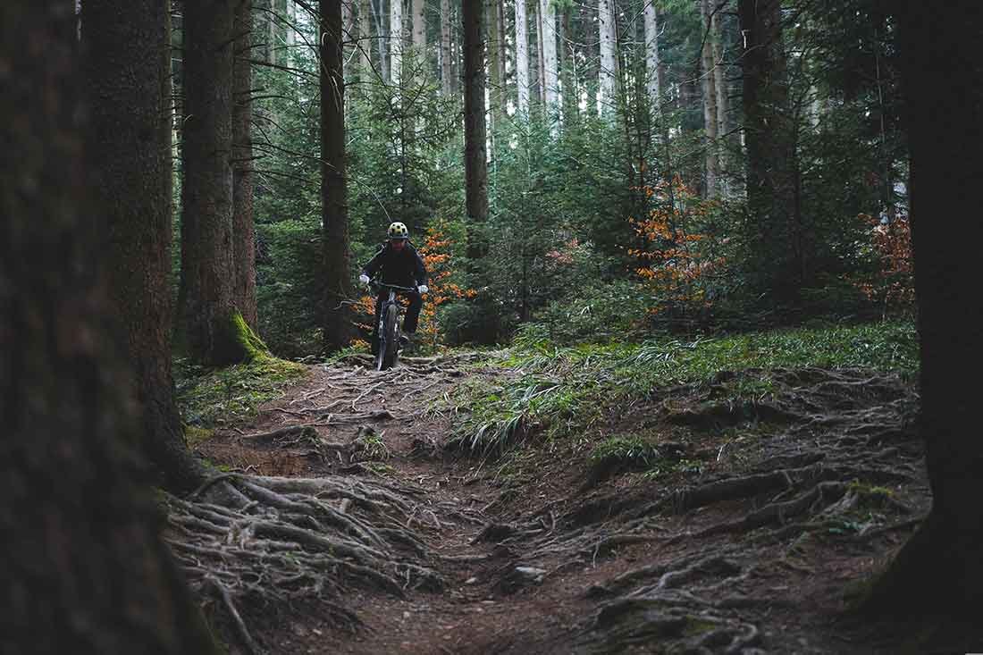 Der Schwarzwald bietet für alle Radfans ideale Bedingungen!