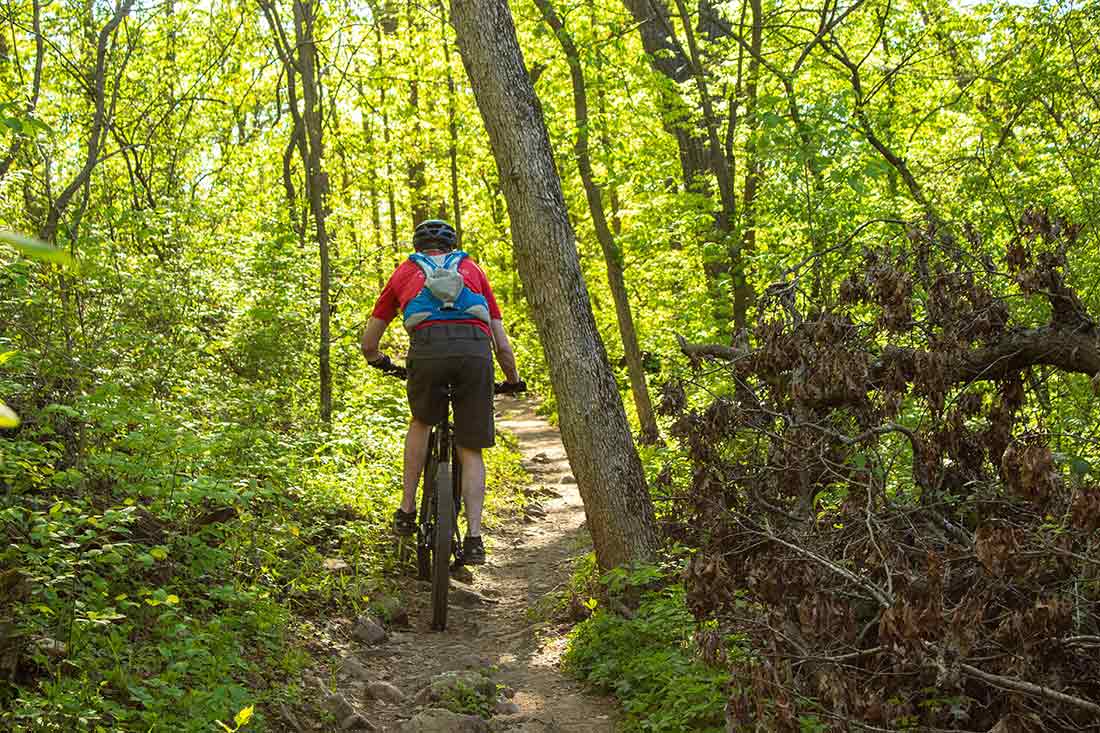 Der Schwarzwald bietet für alle Radfans ideale Bedingungen!