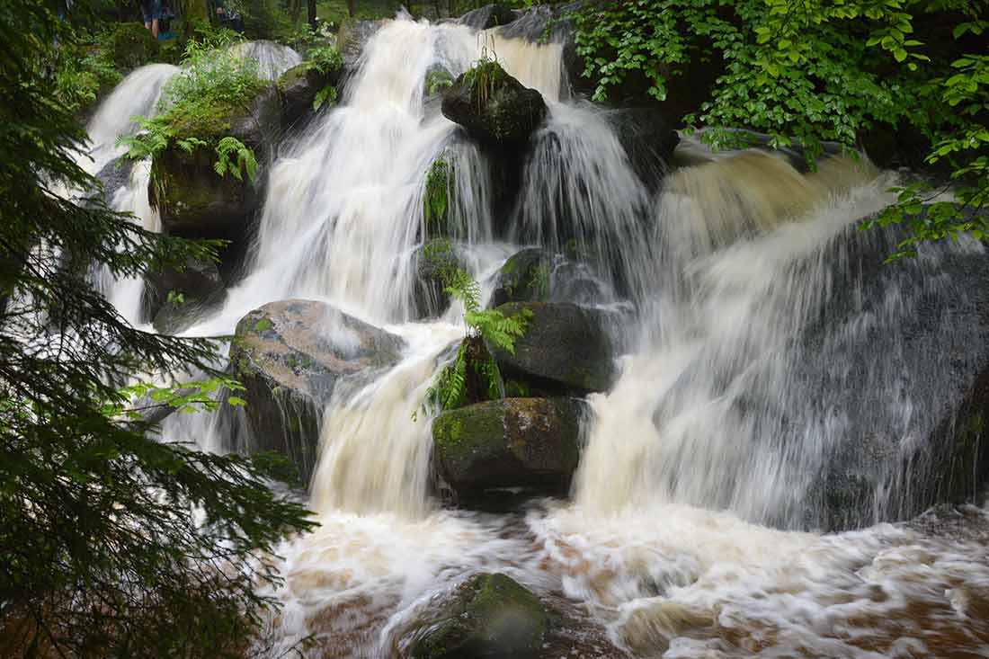 Der Schwarzwald - Paradies zum Wandern und Hiken