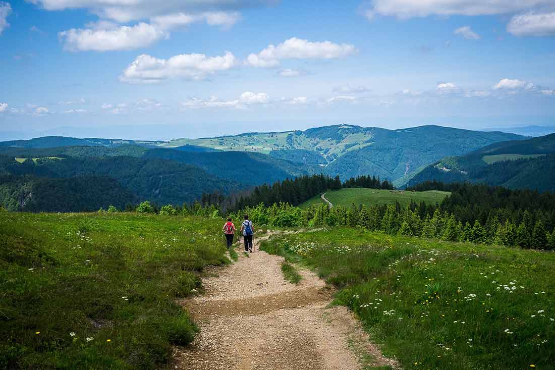 Der Schwarzwald - Paradies zum Wandern und Hiken