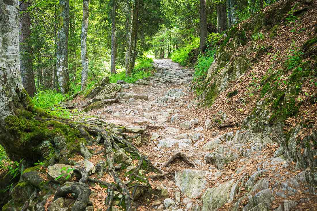Der Schwarzwald - Paradies zum Wandern und Hiken